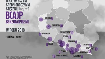 Śląskie miasta toną w smogu - jest ranking Polskiego Alarmu Smogowego