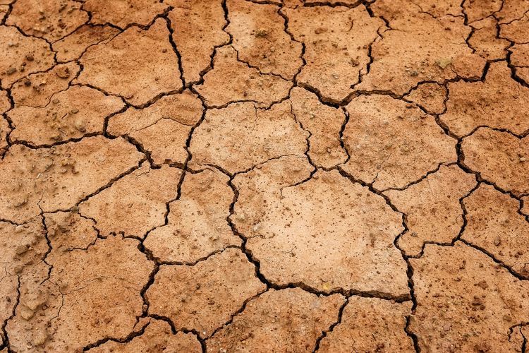 14 mld na walkę z suszą. W sierpniu ruszają konsultacje rządowego programu, pixabay