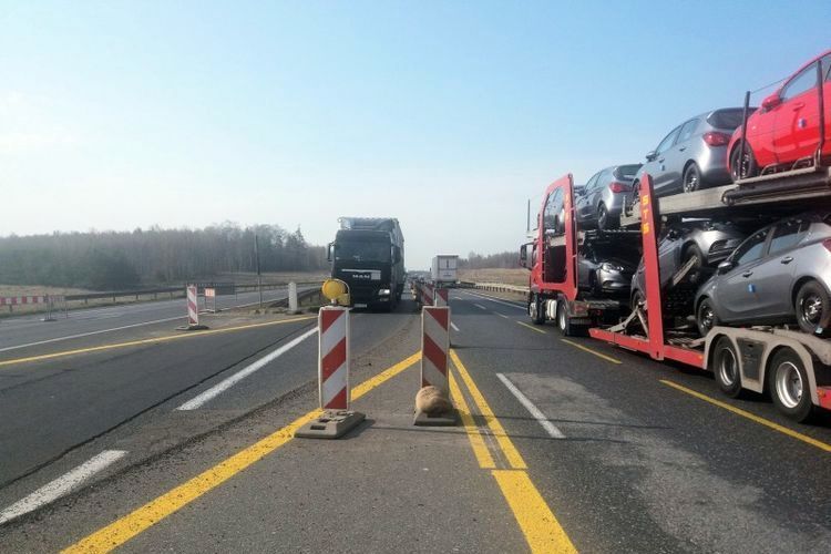Częstochowa alarmuje: tiry łamią zakaz wjazdu z autostrady A1, GDDKiA