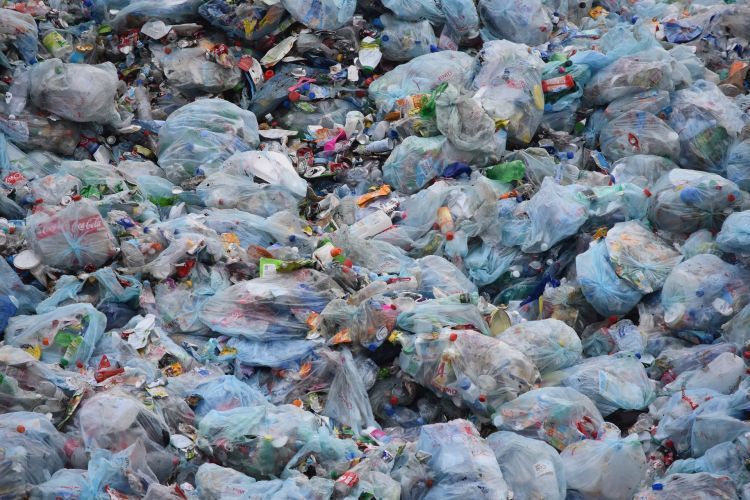 NIK: Polska może nie osiągnąć 50 proc. poziomu recyklingu do 2020. Będą kary?, 