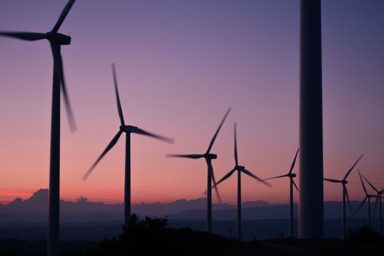 Sejm znowelizował ustawę o odnawialnych źródłach energii, 