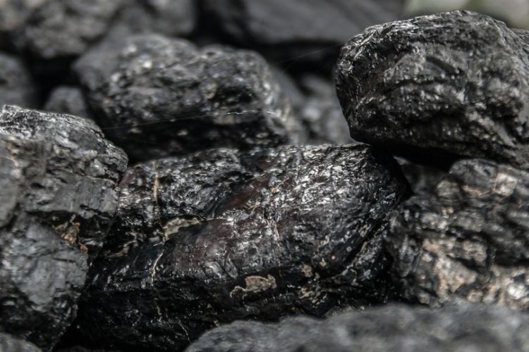 Duże podwyżki cen węgla w sklepie PGG. „Za 5 ton muszę zapłacić 1900 zł więcej”, Archiwum