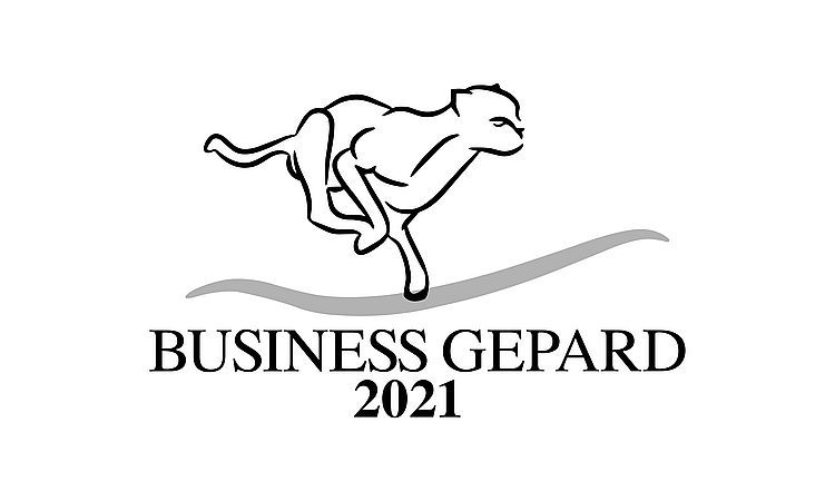 Hansped Transport i Spedycja A. Hanusiak-Tatarska S.K.A. nagrodzony tytułami Brylant Polskiej Gospodarki i Gepard Biznesu 2021, materiał partnera