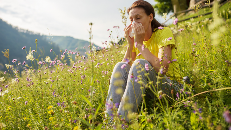 Alergia a pyłki roślin – przekonaj się, jakie gatunki powodują najwięcej problemów, 