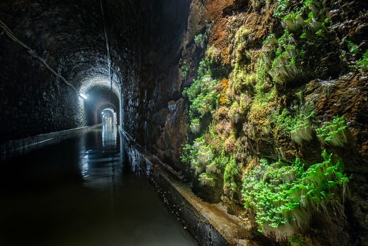 Zabrze ma nową atrakcję turystyczną: podziemną drogę wodną, Tomasz Raudner, Łukasz Orzechowski, Muzeum Górnictwa Węglowego