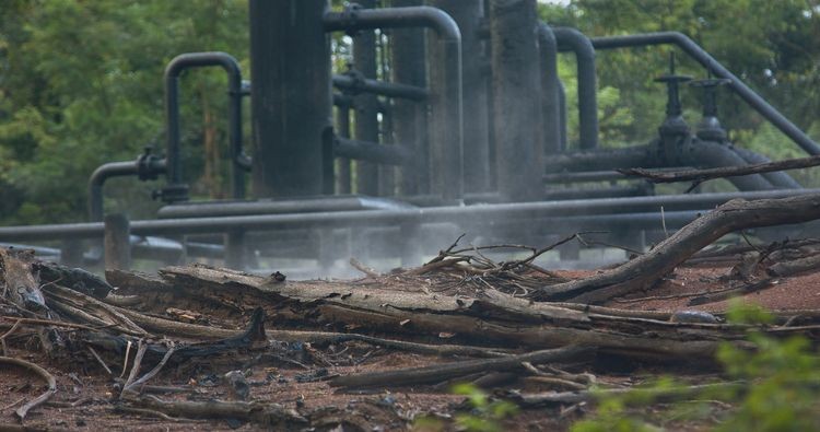 COP24 - ropa dewastuje dżunglę. Kadry z filmu 