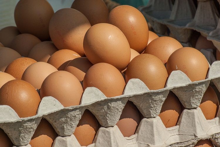 Rynek jaj czeka rewolucja, pixabay