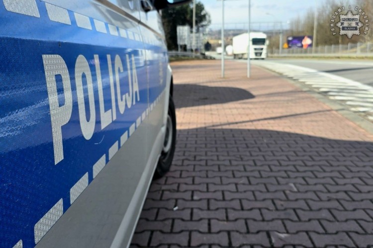Pryszczyca na Węgrzech. Policjanci kontrolują granice, 