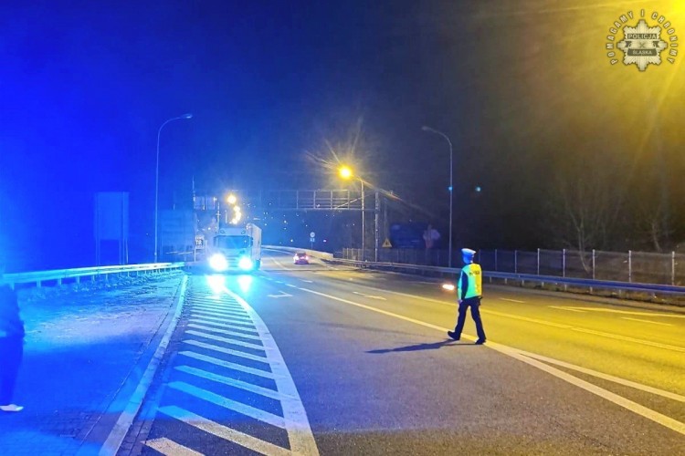 Pryszczyca na Węgrzech. Policjanci kontrolują granice, 