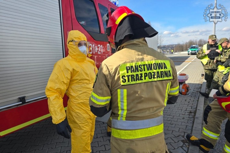 Pryszczyca na Węgrzech. Policjanci kontrolują granice, 