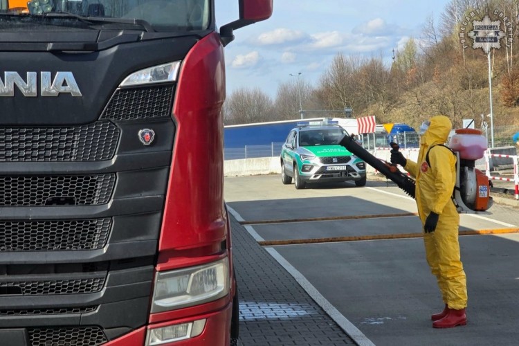 Pryszczyca na Węgrzech. Policjanci kontrolują granice, 