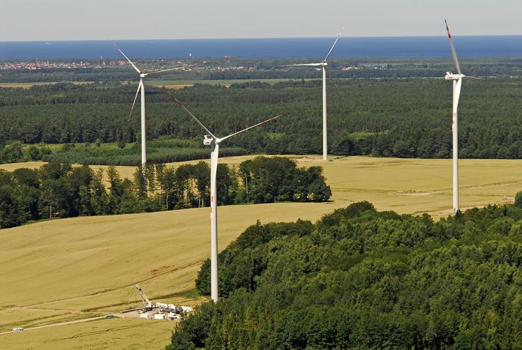Energia wiatrowa z lądowych farm tańsza niż węglowa. URE ogłosił wyniki aukcji OZE, materiały prasowe