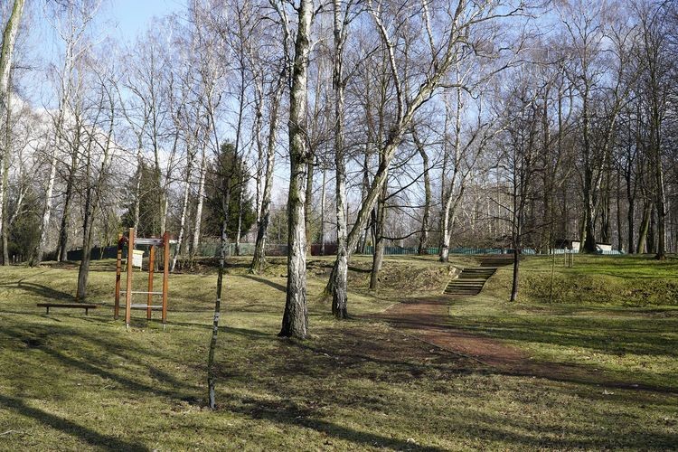 Jaka przyszłość 5 hektarów terenów zielonych w Katowicach? Prezydent pyta mieszkańców, UM Katowice