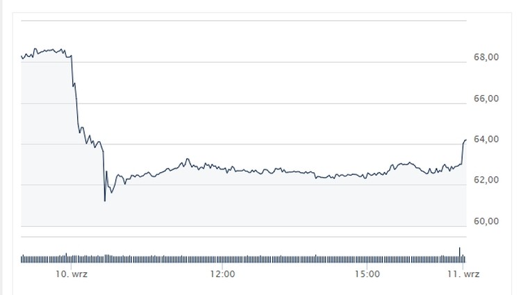 Cena akcji JSW spadła w ciągu jednego dnia o prawie 8%, Źródło: Bankier.pl
