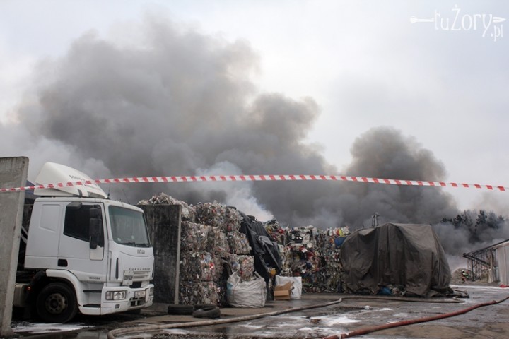 Śmieciowe przekręty w Żorach - prokuratura oskarża cztery osoby, Agnieszka Pawlas