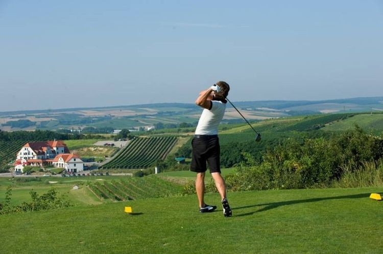 Podróże z golfem, odc. 3 - wśród austriackich winnic, archiwum autora