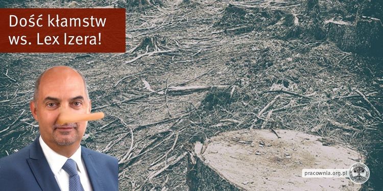 Ekolodzy i Tusk kontra władze Jaworzna - kto kłamie w sprawie wycinki lasu pod fabrykę Izery, materiały 