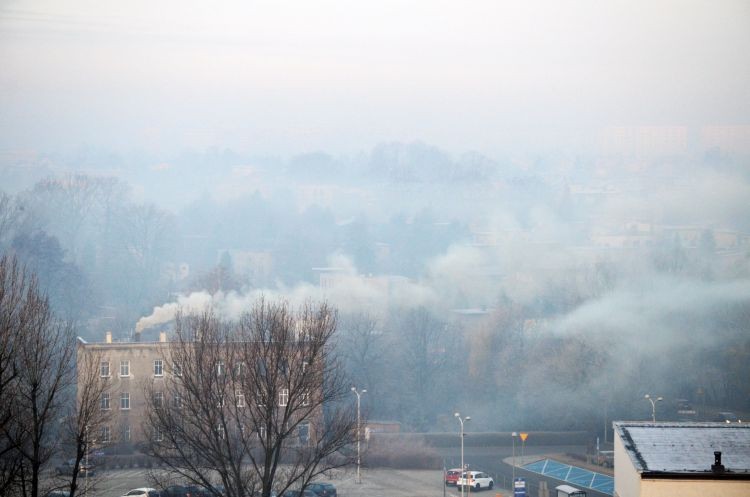 Śląsk apeluje o #OddechDlaPolski. W trzech miastach staną zielone ściany pochłaniające smog, archiwum