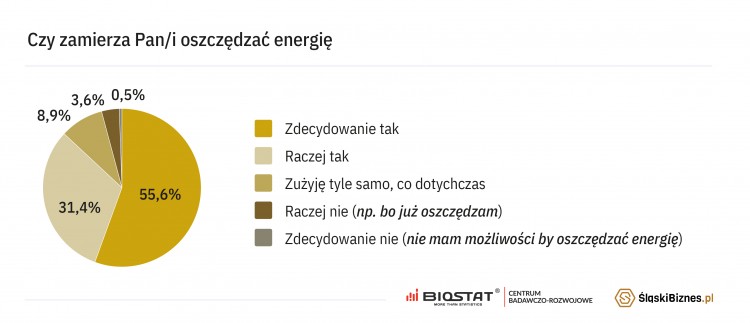 Ponure nastroje Polaków – sondaż BioStat® o cenach energii nie zostawia złudzeń, pixabay