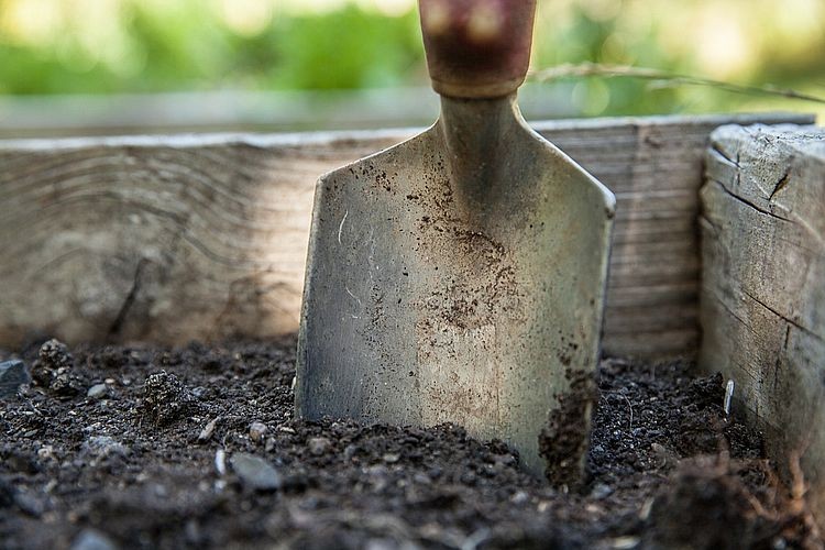 Kościół nie zabrania prac ziemnych w Wielkim Tygodniu, pixabay