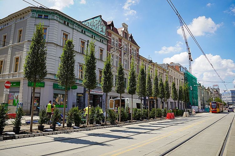 Warszawska zazieleniła się drzewami. Przebudowa głównej ulicy w centrum Katowic na finiszu, KAW