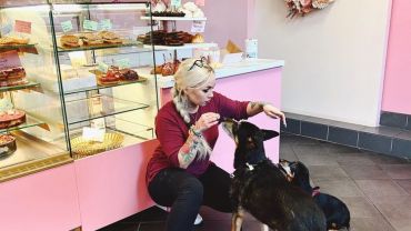 W cukierni w Katowicach powstają torty i ciastka... dla psów! (foto)