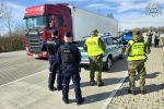 Pryszczyca na Węgrzech. Policjanci kontrolują granice, 