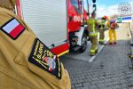 Pryszczyca na Węgrzech. Policjanci kontrolują granice, 