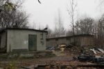Park Śląski - deweloper wycofuje się z wycinki drzew pod osiedle. Co dalej?, archiwum