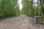 Velostrada w Katowicach: miasto ogłosiło przetarg na projekt rowerowej autostrady, UMK